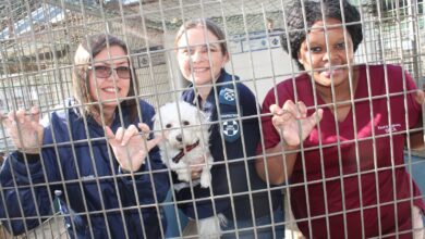 SPCA