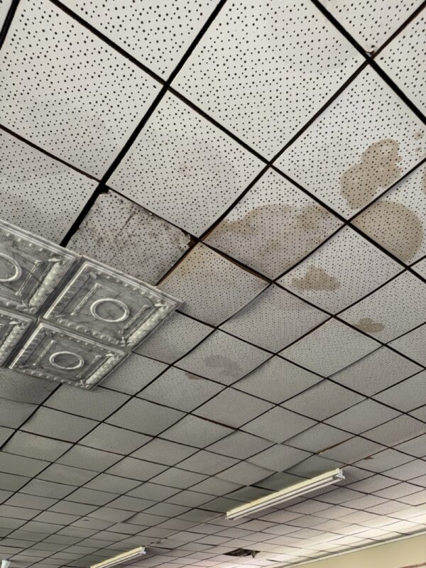 Water damage has spread throughout the ceilings of the library.