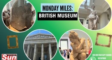 Pieces of artwork and history stored in the British Museum behind a green gradient background.