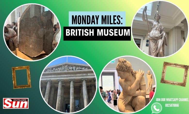 Pieces of artwork and history stored in the British Museum behind a green gradient background.