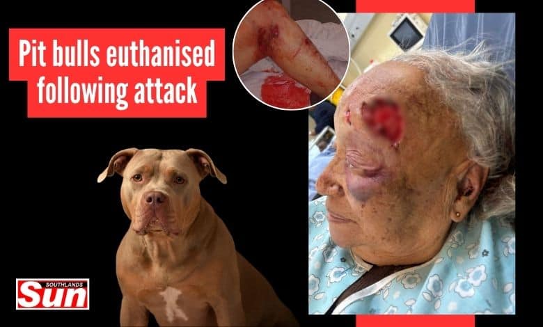 Elderly woman with severe head wound and bite marks to her leg after pit bull attack.