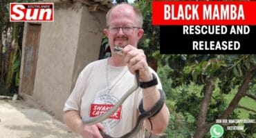 The Bluff’s Warren Dick with the captured Black mamba.