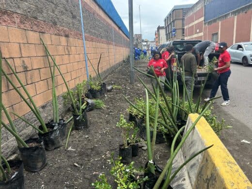 eThekwini Municipality adopted a spot previously affected by illegal dumping and transformed it through tree planting