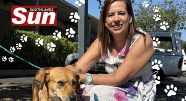 A woman kneels next to a dog brought into the SPCA.