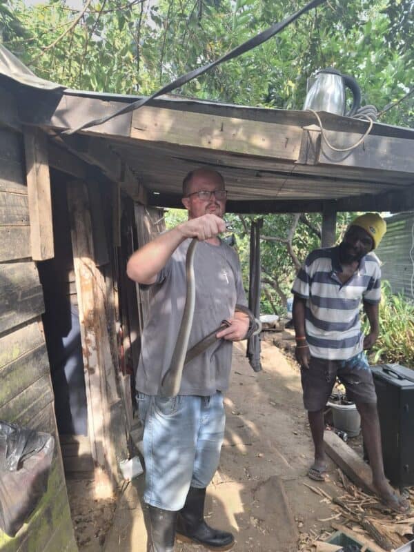 Man holds the captured black mamba.