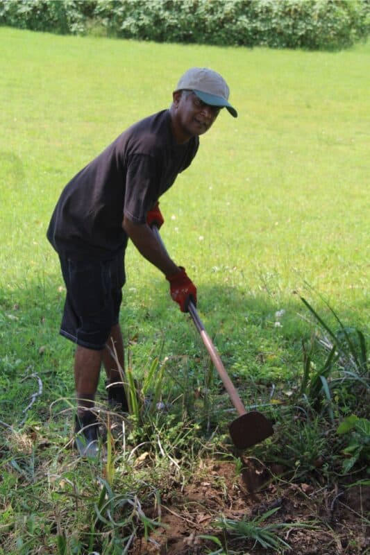 Prem Pillay removes the weeds from the area.