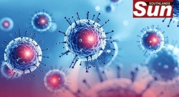 The Department of Health reassures South Africans they are not at risk of the Nipah virus.