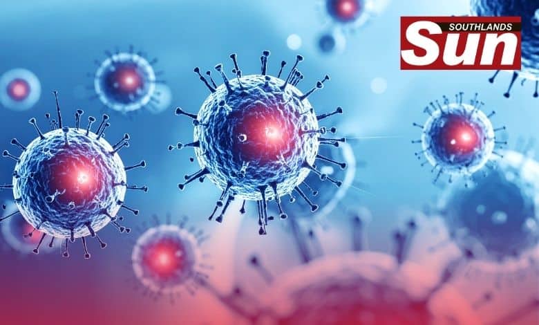 Nipah Virus not a worry for South Africans