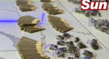 Police uncover four cannabis shops and recovered drugs worth over R1 million.