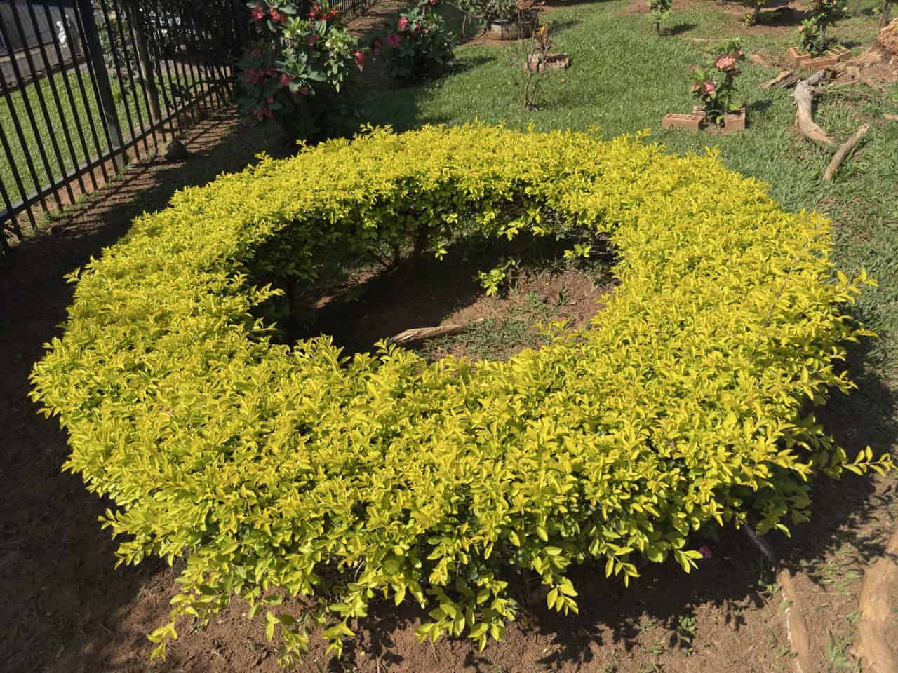 A bright green in a circle. 