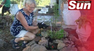 Roslyn Glazer watering the newly planted plants.