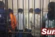 Some of the illegal foreigners at the Montclair police station after being charged with contravening Immigration Act.