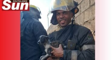Senior firefighter Tevin Pillay carries the rescued puppies