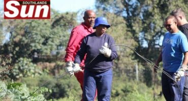Teams from eThekwini Municipality remove illegal electricity cables near Solomon Mahlangu Drive.