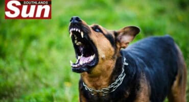 Two dogs were euthanised following a tragic attack on a woman in Woodlands