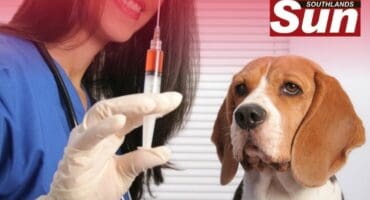 The state vet will be conducting rabies vaccinations for pets in the Durban South.
