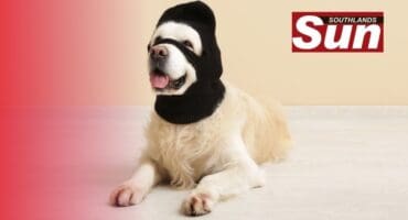 Dogs have been increasingly reported stolen and missing in Merebank.