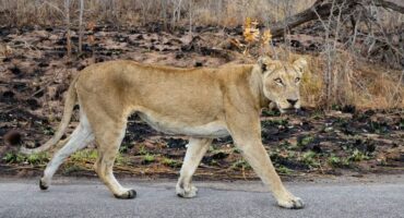 Photo for illustrative purposes only. > Photo: Jacqueline Herbst