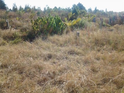 The condition at the Graskop Cemetery does not correlate with an expenditure of R131 000 per month.
