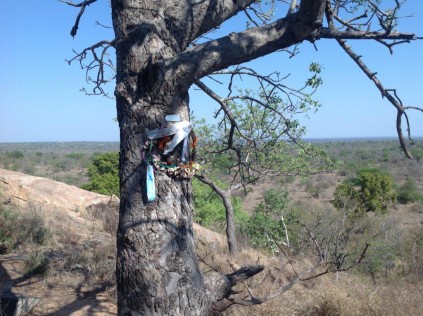 Photo 2- illegal memorials