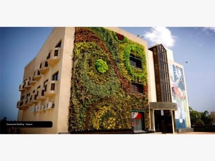 One of Leon Kluge's vertical gardens.