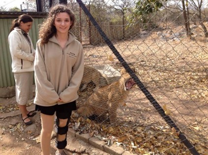 Laurennadn cubs
