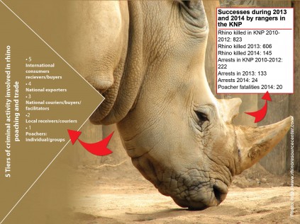 01 Rhino
