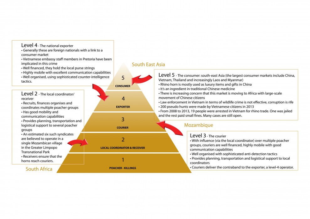 level 3
