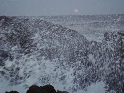 new blog 2