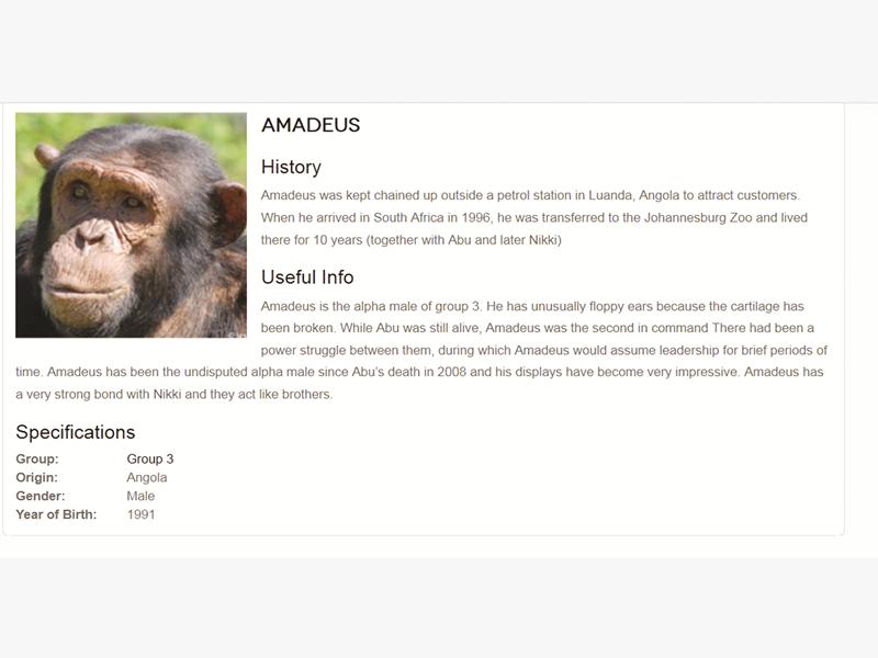 Amadeus_579125110