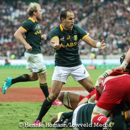 Springboks vs Wales