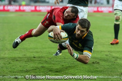Springboks vs Wales