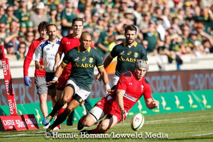 Springboks vs Wales