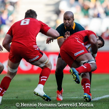 Springboks vs Wales