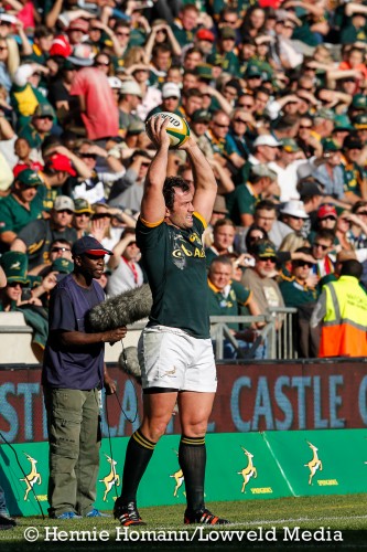Springboks vs Wales