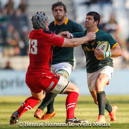 Springboks vs Wales