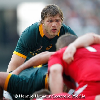 Springboks vs Wales