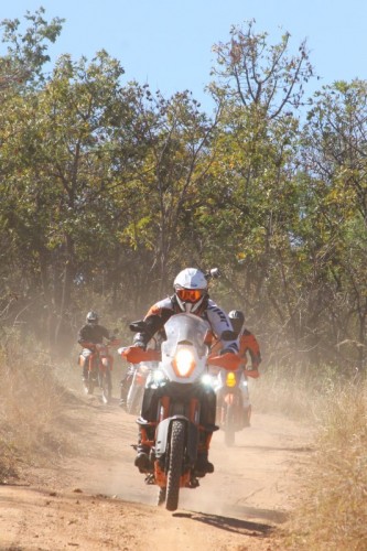 LDBA2 (533 x 800)