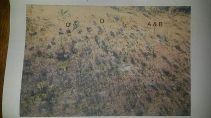 Crime scene. A - B - Where cow and calf found. C - Where bull was found. D - Where Mandla Chauke and two others encountered rangers