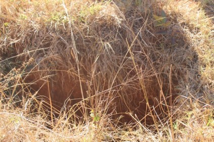 A deep hole where victims were kept for months.