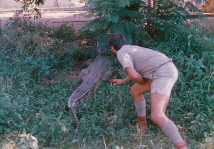 CROC FIGHT_0004