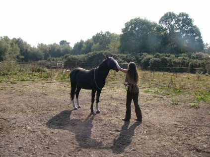 horse whisper (12)