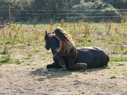 horse whisper (14)