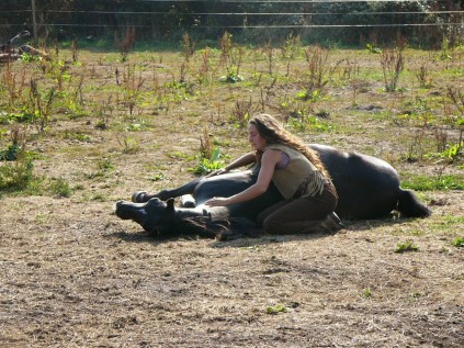 horse whisper (15)