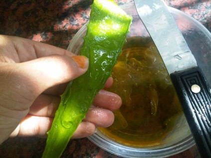 img-20120808-10609