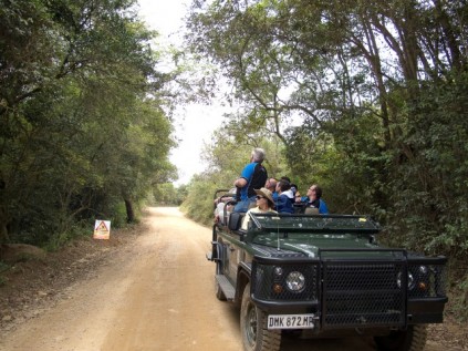 Peddlars Bush is a woodland just of the Bulembu Pass near Barberton.