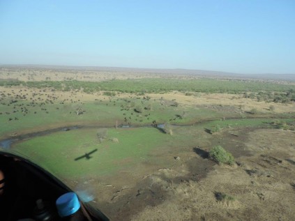 The view from the sky.