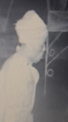 suspect2