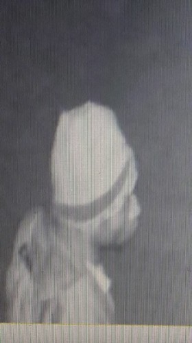 suspect3