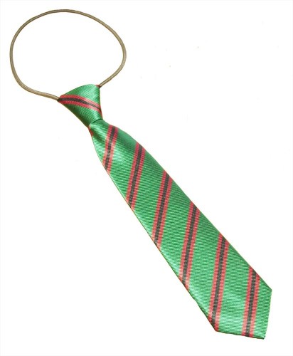 An example of an elastic school tie. (Image: langton-green-school.org)